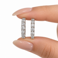 Luminous Glow Earrings – A Fine and Refined Sparkle