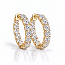 Luminous Glow Earrings – A Fine and Refined Sparkle
